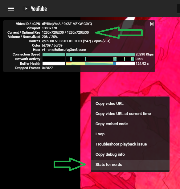 YouTube Stats for nerds 测速示例